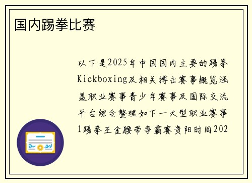 国内踢拳比赛